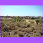 Touchton Back Yard.jpg